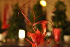 bild4