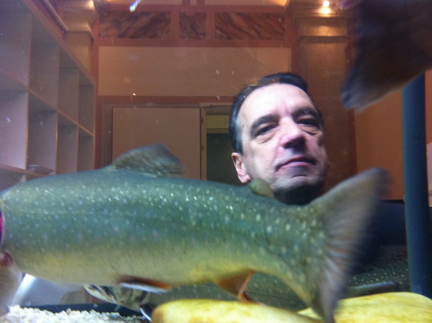 udo_fisch