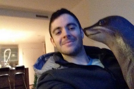 Ben Tollerene and Seal Pet