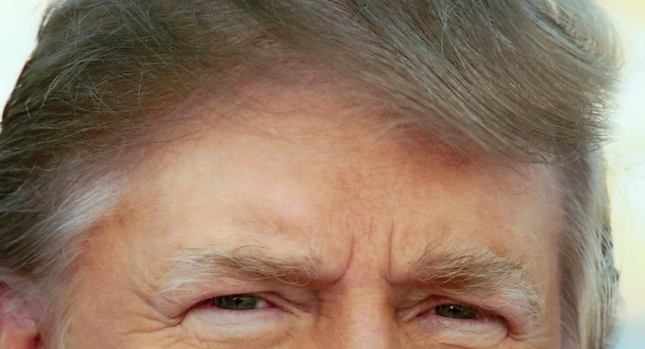 Poker ist nicht wie Donald