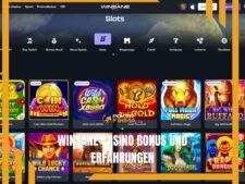 Winsane Casino Bonus und Casino Erfahrungen