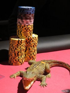 GPT_Berlin_1B_krokodil2