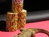 GPT_Berlin_1B_krokodil2