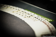 MPN Poker Tour - Tag 2 - 23-01-2016